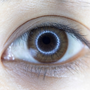 国内大手医療機器メーカー 人工視覚用部材供給、一部加工支援