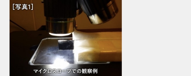 ［写真1］マイクロスコープでの観察例。観察サンプルを垂直に立ててマイクロスコープで観察している様子。