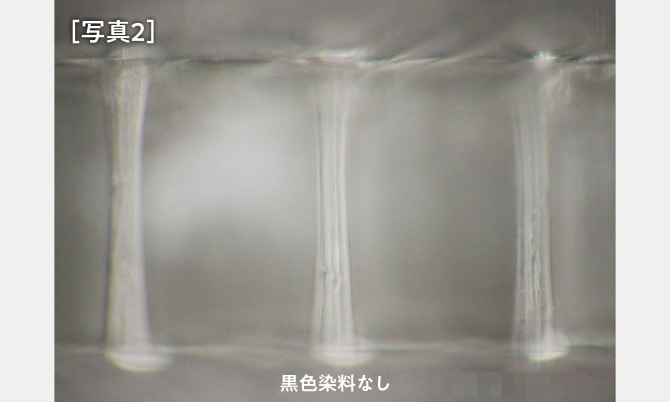 ［写真2］黒色染料なしの場合の側壁コーティングのマイクロスコープ観察画像。貫通孔の側壁が透明で確認しづらい様子。