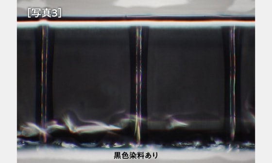 ［写真3］黒色染料ありの場合の側壁コーティングのマイクロスコープ観察画像。貫通孔の側壁が黒く染まり、コーティングが確認できる様子。